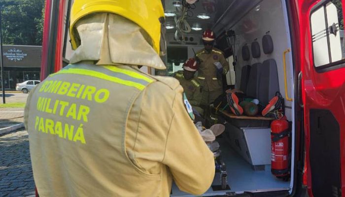  Corpo de Bombeiros do Paraná registra 300 ataques de cachorros desde o início do ano